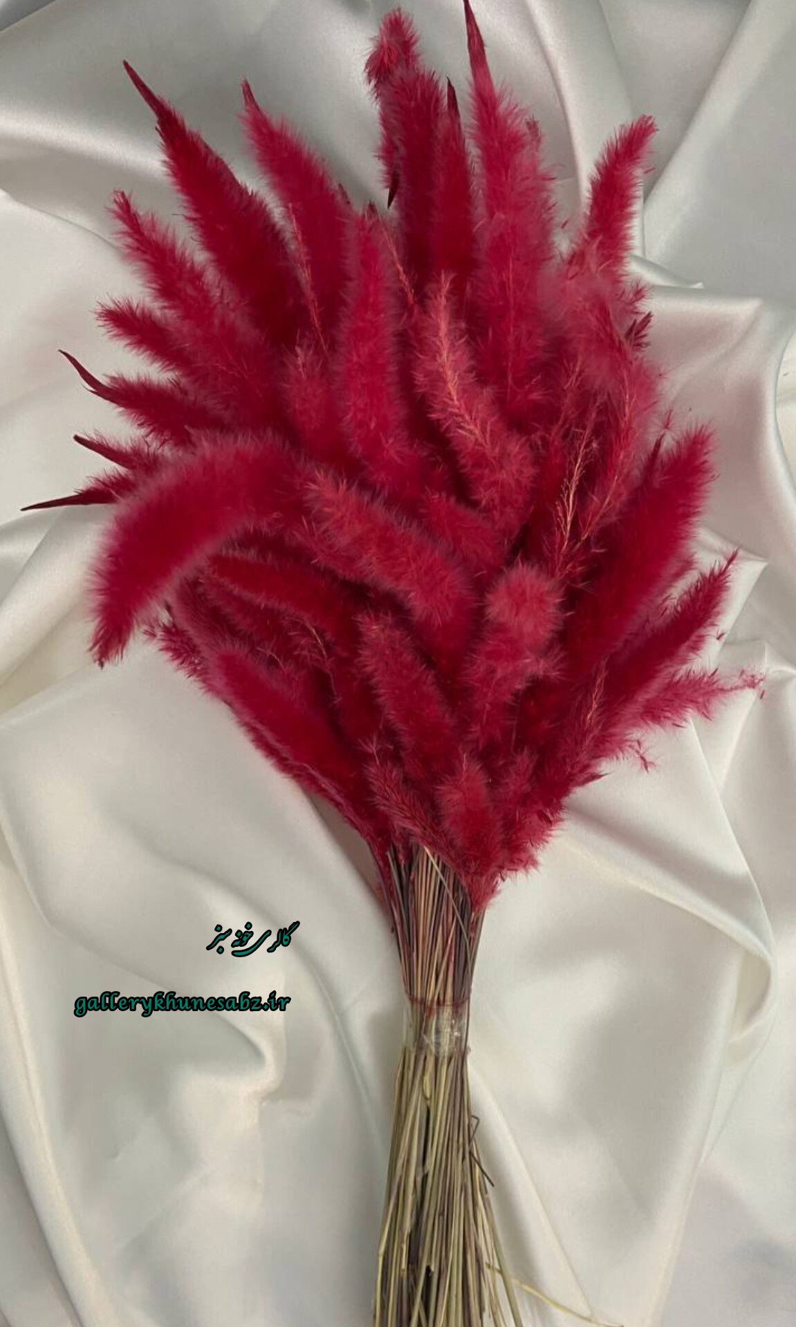 دسته گل خشک دم روباهی رنگ سرخابی