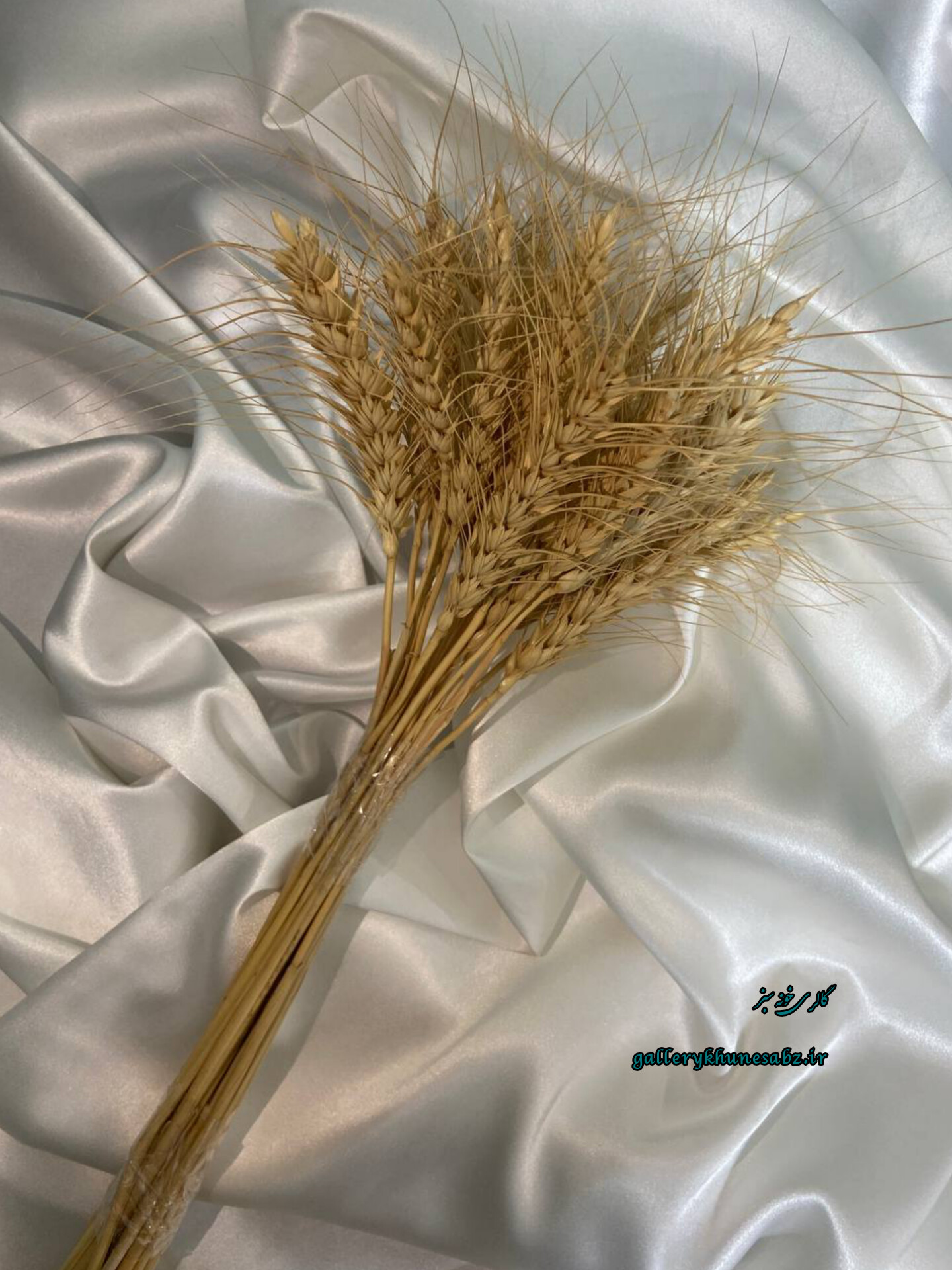 دسته گل گندم خشک محصولی از دل روستا